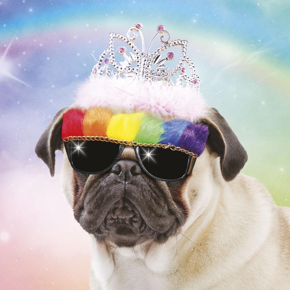3D Lenticular Princess Pugsly Card