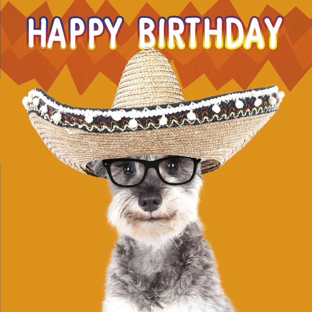 3D Lenticular Schnauzer in Sombrero Birthday Card