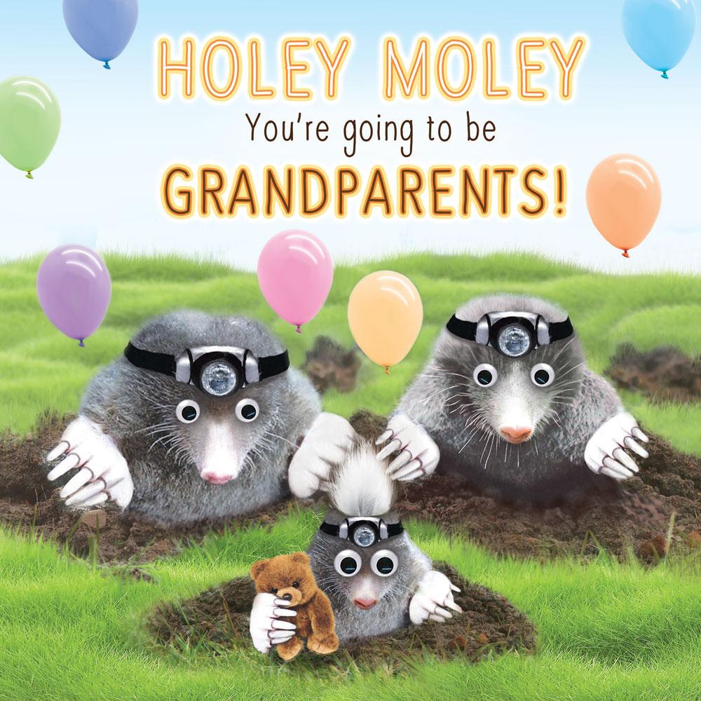 New Grandchild