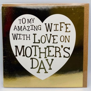 To my amazing Wife.