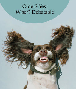 Wiser Happy Dog