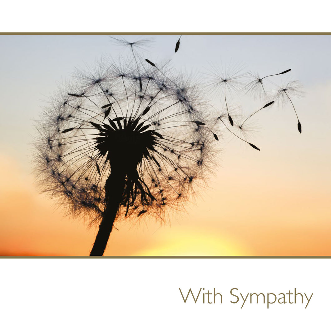 With Sympathy / dandelions