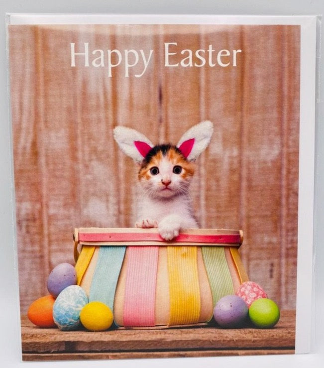 Easter Kitty
