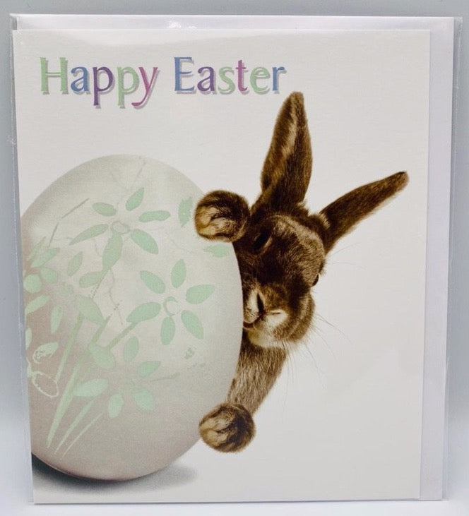 Bunny and  egg
