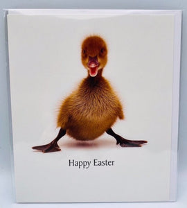 Easter Ducking