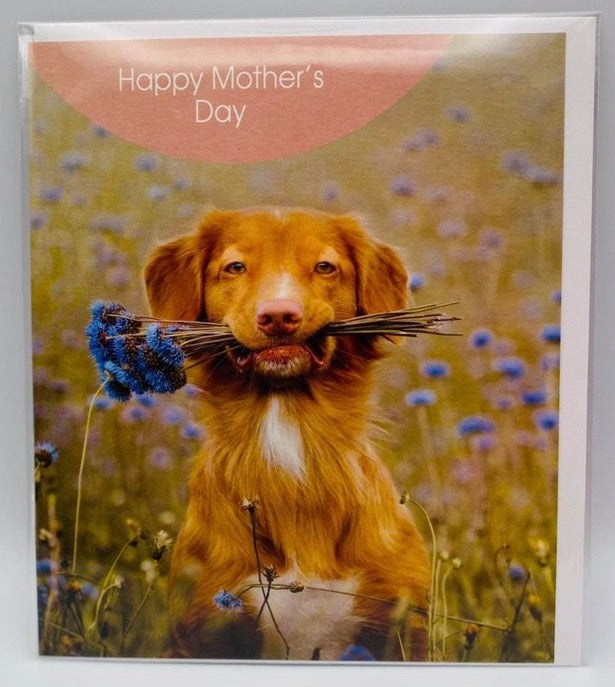 Flowers for Mum