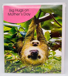 Mother and baby sloth