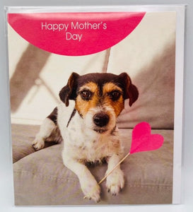 Terrier Love