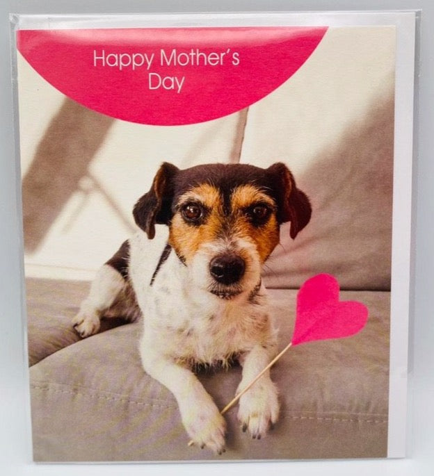 Terrier Love