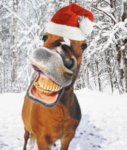 Horsing Around
