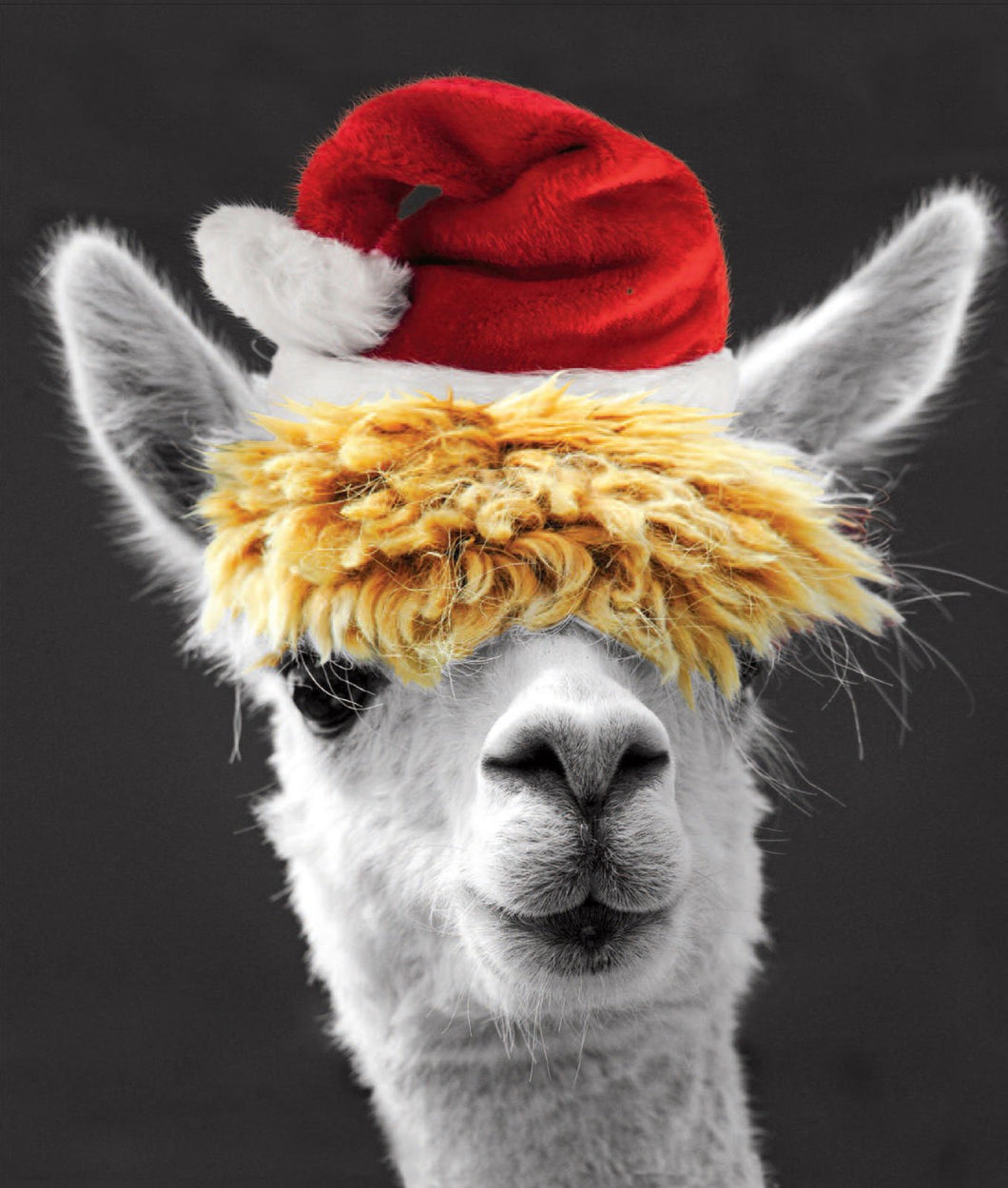 Christmas Llama