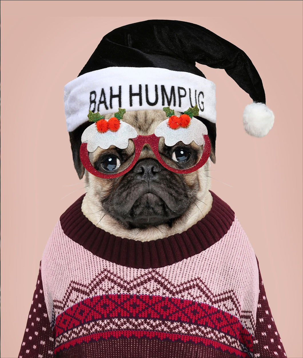Bah Hum Pug