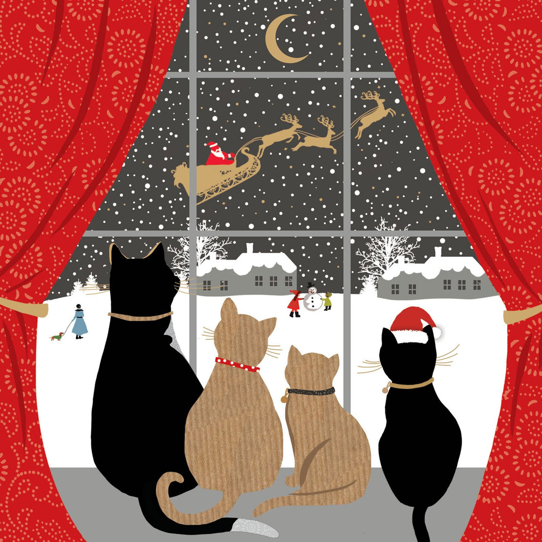 Festive Felines