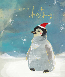 Baby Penguin